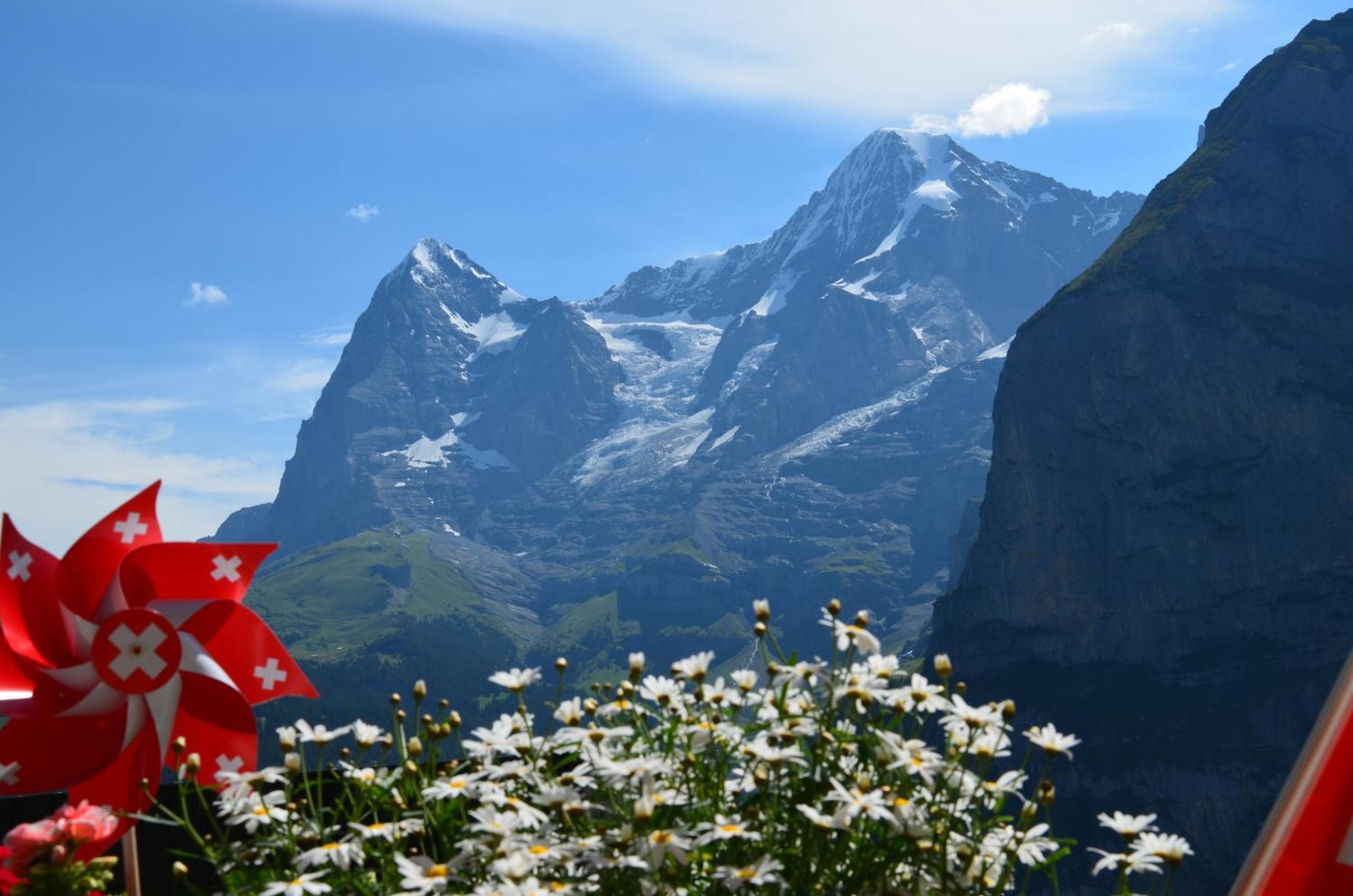 Eiger Muerren Swiss Quality Hotel Номер фото